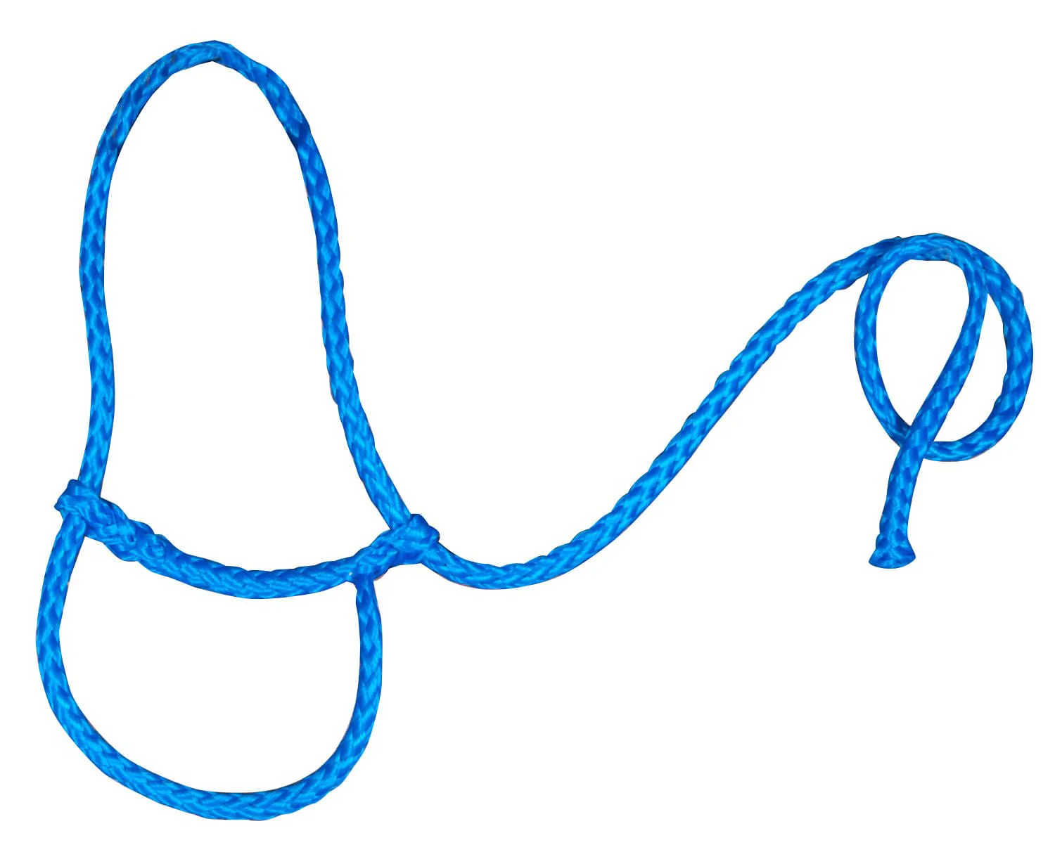 Troyer's Braided Poly Sheep Halter - Image 9