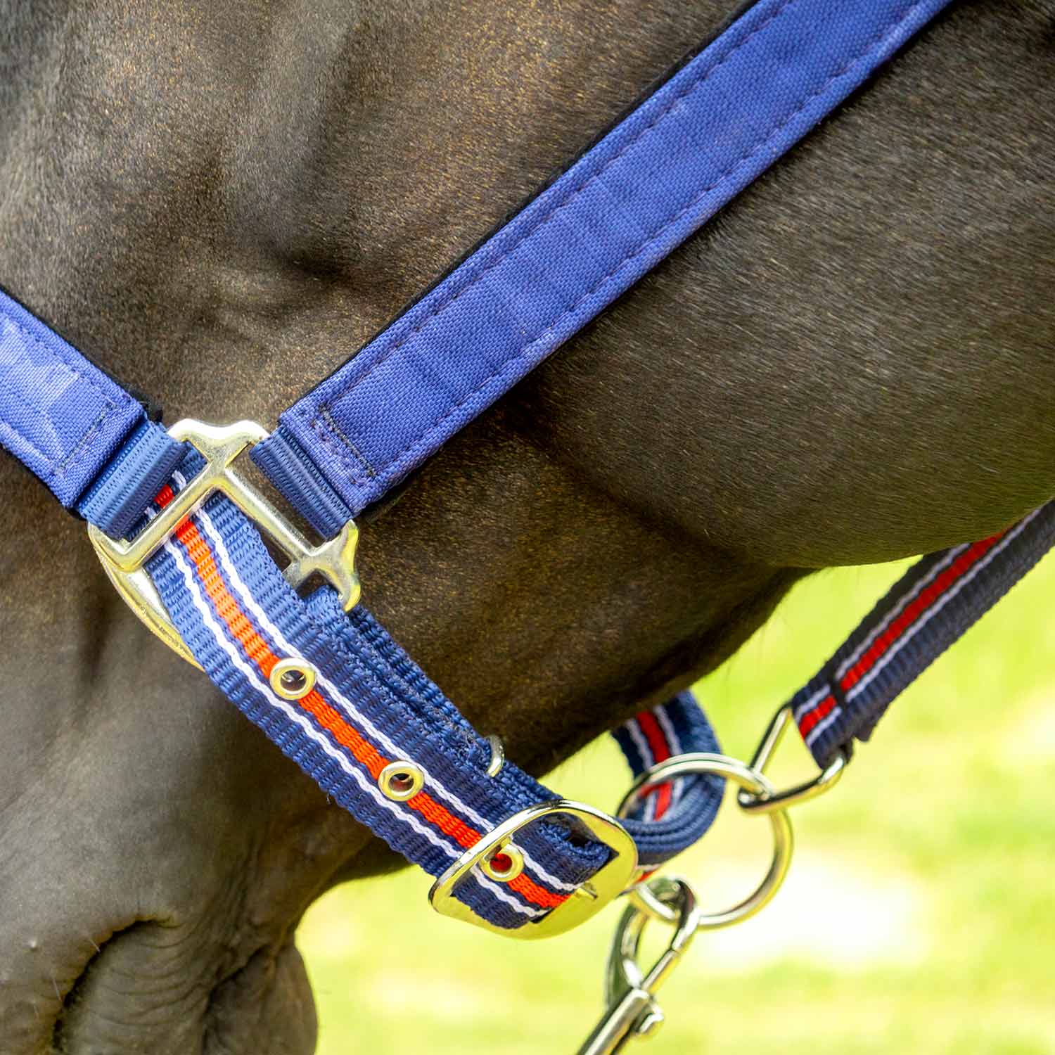 Jeffers Matching Horse Halter & Lead Rope 2 Piece Set, Full Size - Image 6