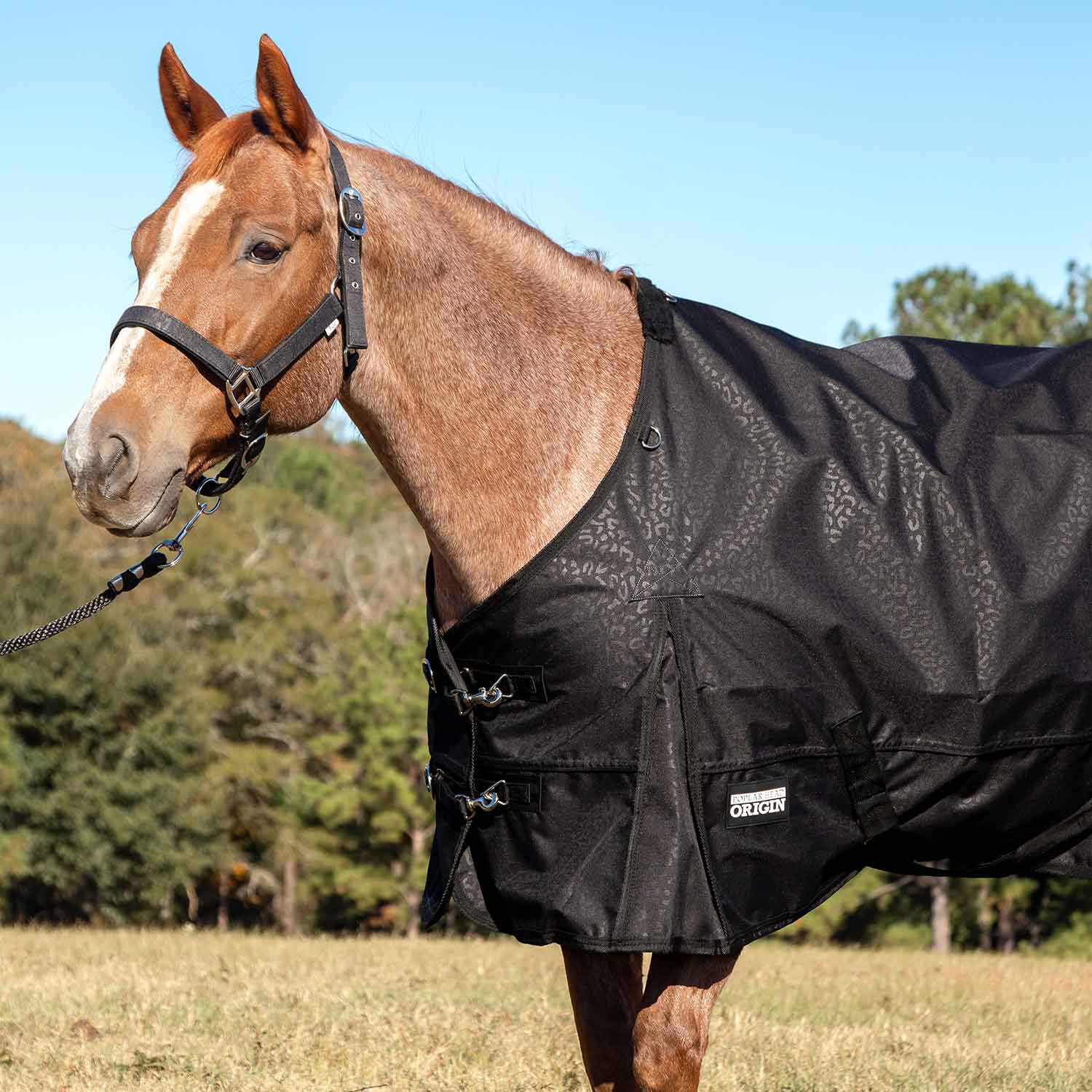 Jeffers Poplar Head "Origin" 600D Turnout Sheet - 0g Lightweight Waterproof Horse Blanket with Standard Neck & Tail Flap - Image 7
