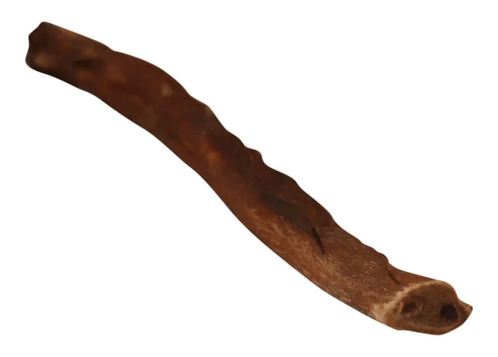 12" Premium Bully Sticks - Image 15