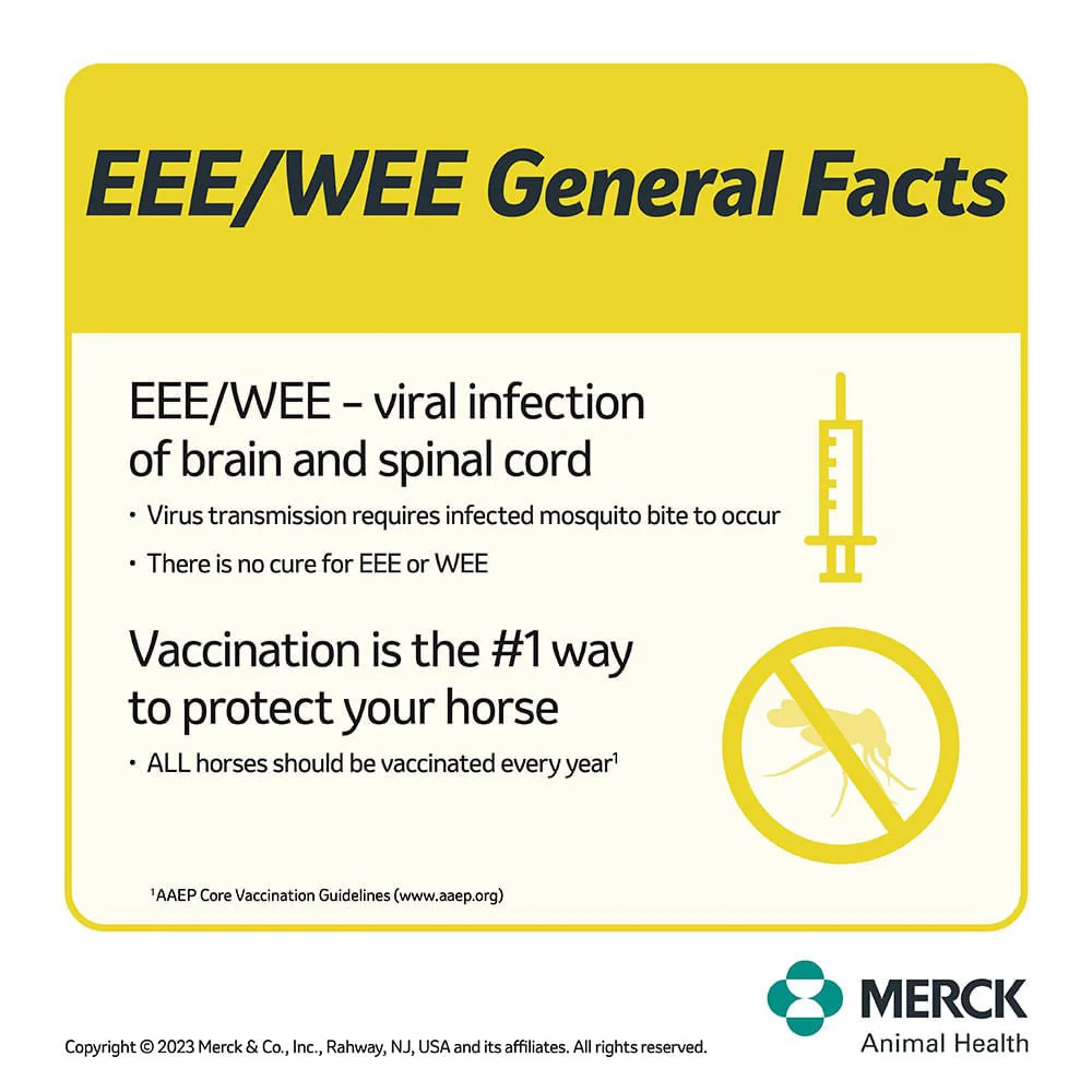 Prestige 3+WNV Horse Vaccine - Image 3