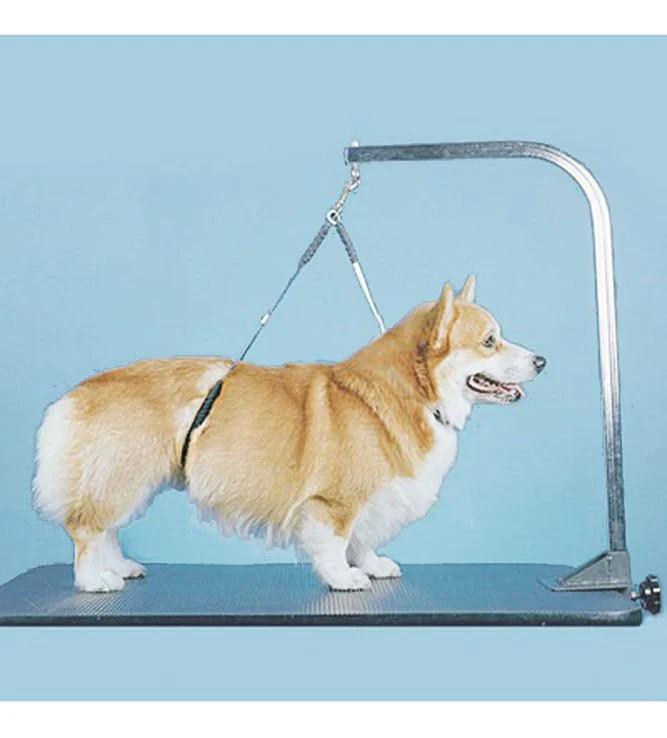 Proguard No-Sit Haunch Holder - Image 9