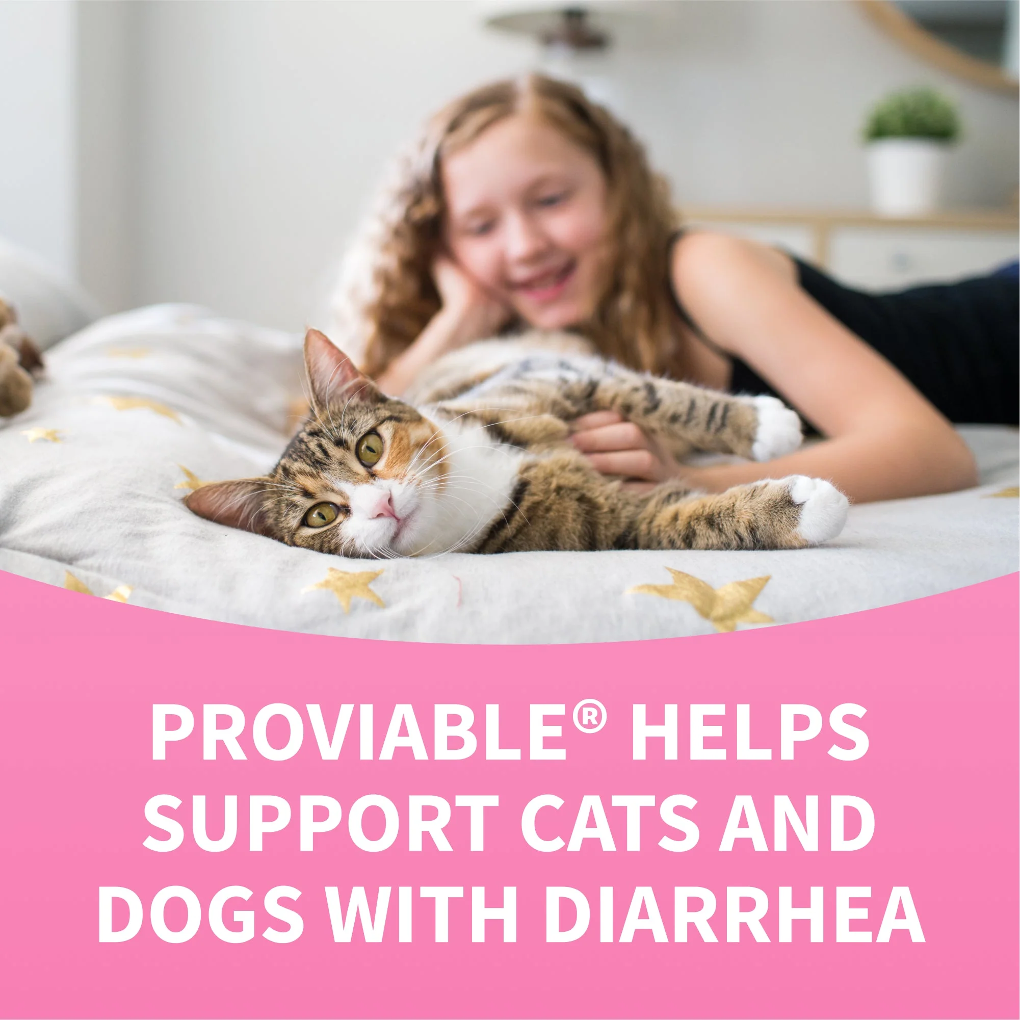 Nutramax Proviable-KP/DC Kit for Dogs and Cats, 10 Capsules - Image 11