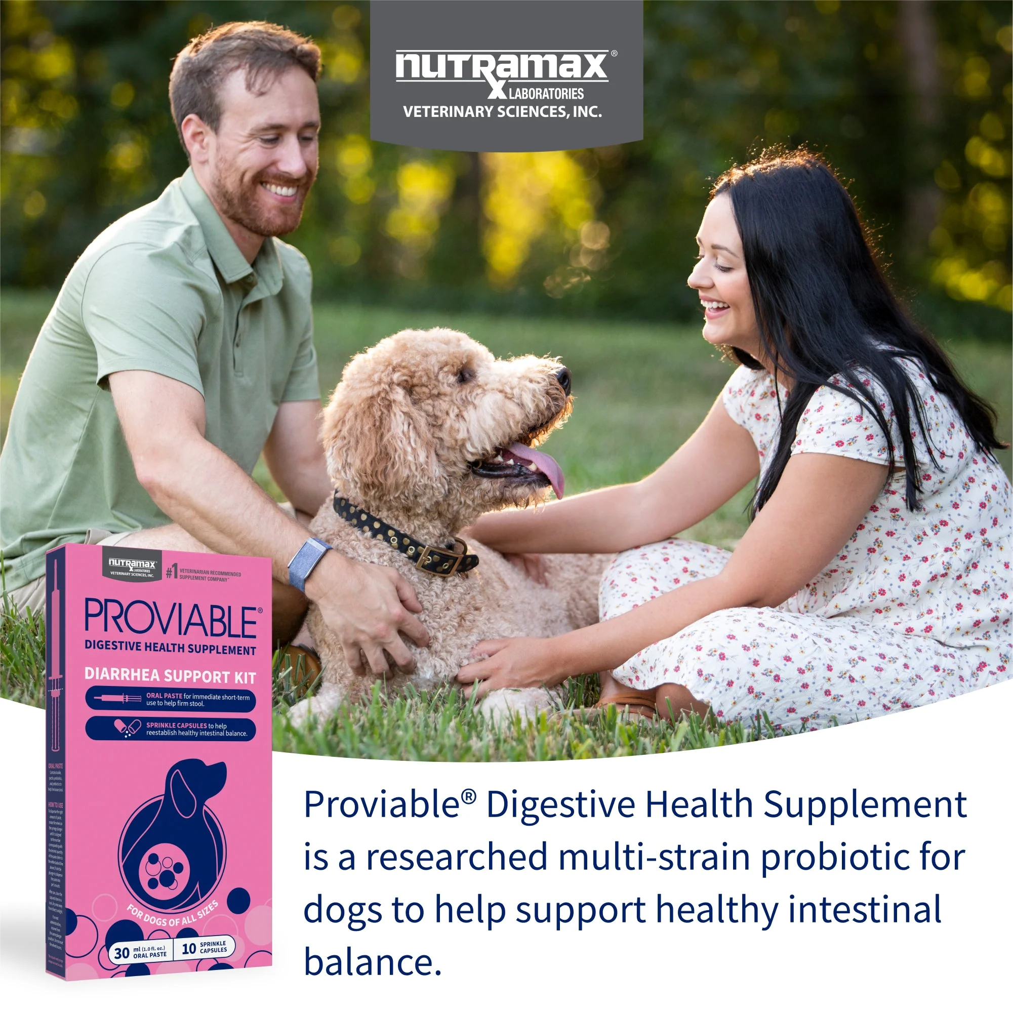 Nutramax Proviable-KP/DC Kit for Dogs and Cats, 10 Capsules - Image 16