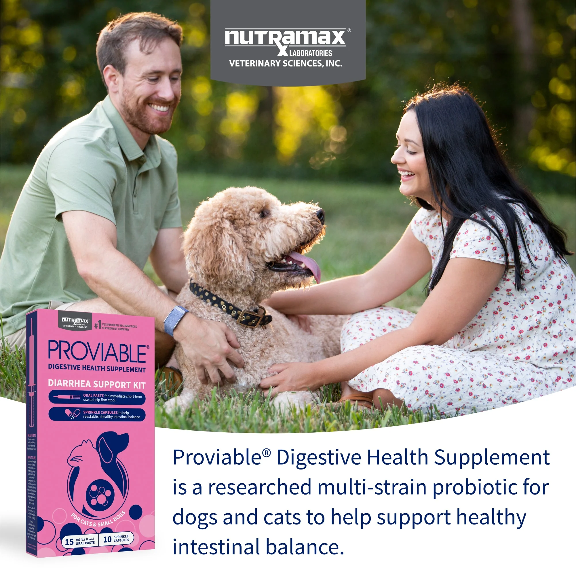 Nutramax Proviable-KP/DC Kit for Dogs and Cats, 10 Capsules - Image 3