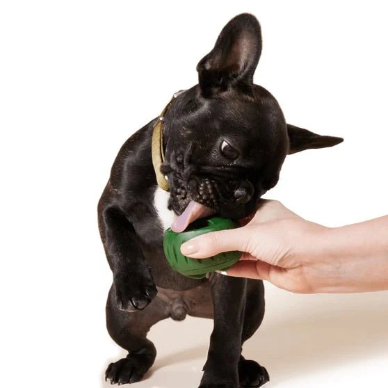 Pupsicle Re-Freezable Dog Treat Tray Mold – DIY Frozen Dog Treats, Silicone Freezer Mold - Image 9