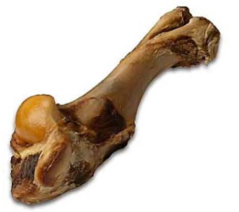 12-13" Pure Buffalo Shoulder Bone Dog Treat - Image 2