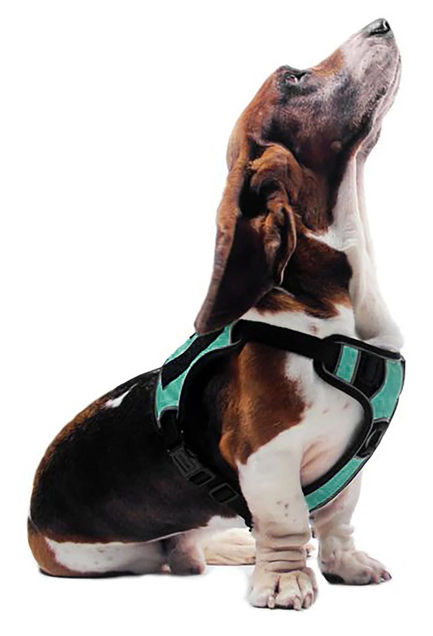 Quest Multi-Purpose Harness, XSmall - Image 8