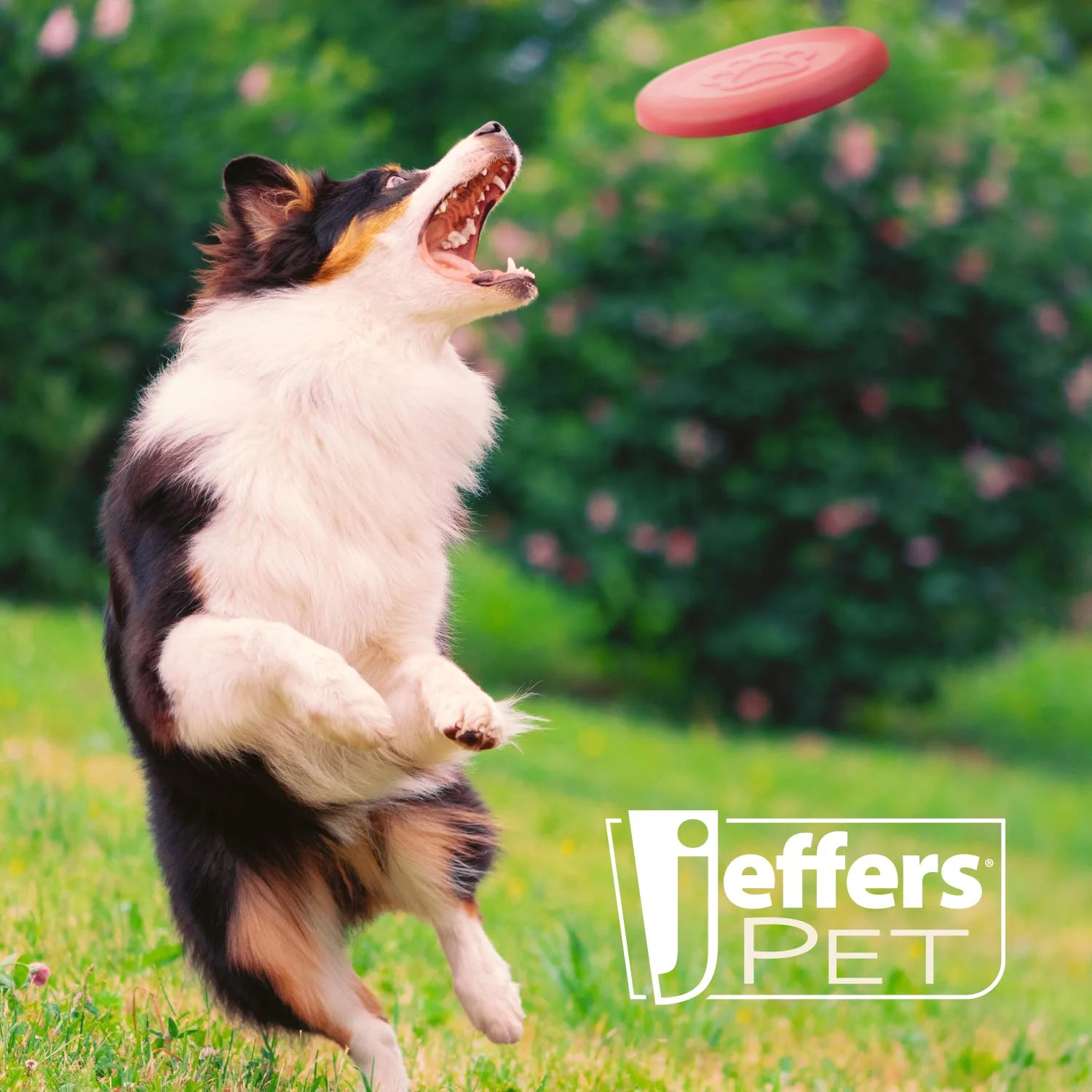 Jeffers Red Paw Frisbee Natural Rubber Dog Toy for Fetching & Chewing - Image 5