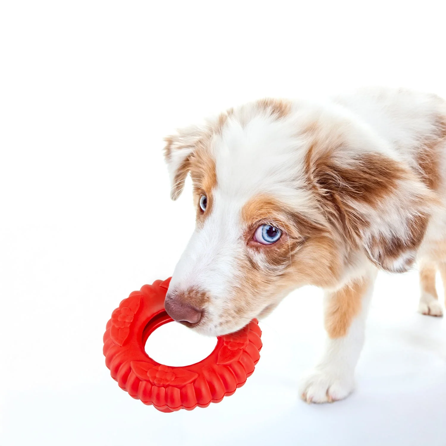Jeffers Red Virgo Tugger Natural Rubber Dog Dental Chew Toy for Interactive or Solo Play - Image 5