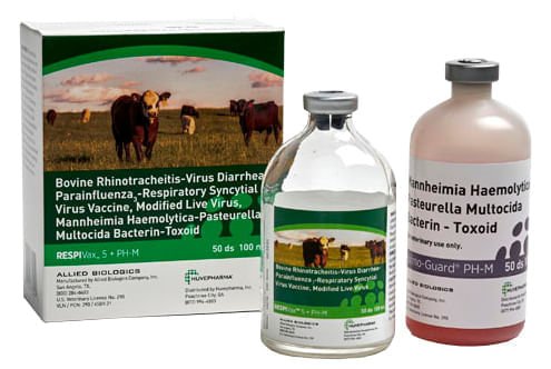 RespiVax 5 + PH-M Cattle Vaccine