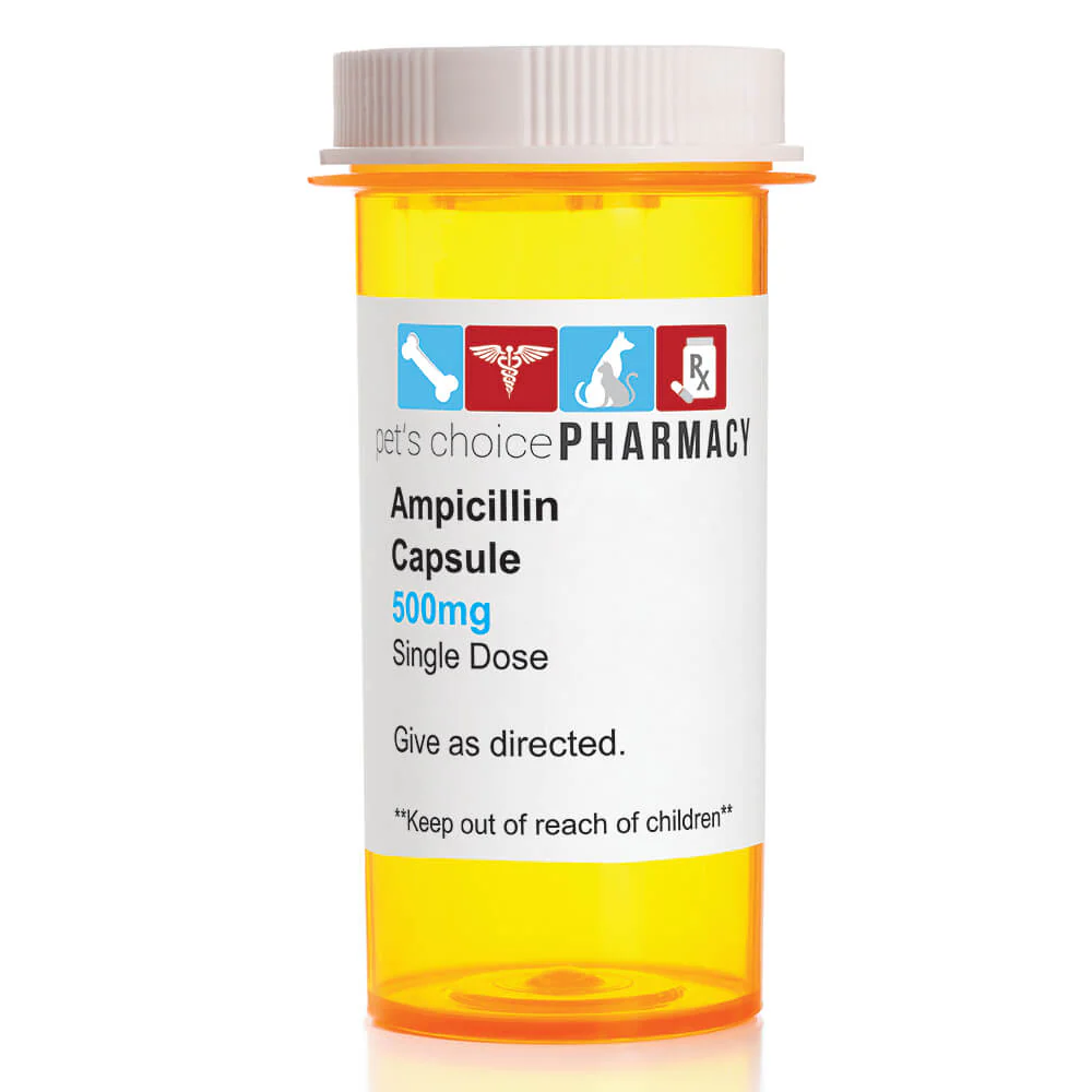 Rx Ampicillin (Generic) Capsules for Horses, Dogs, & Cats - Image 3