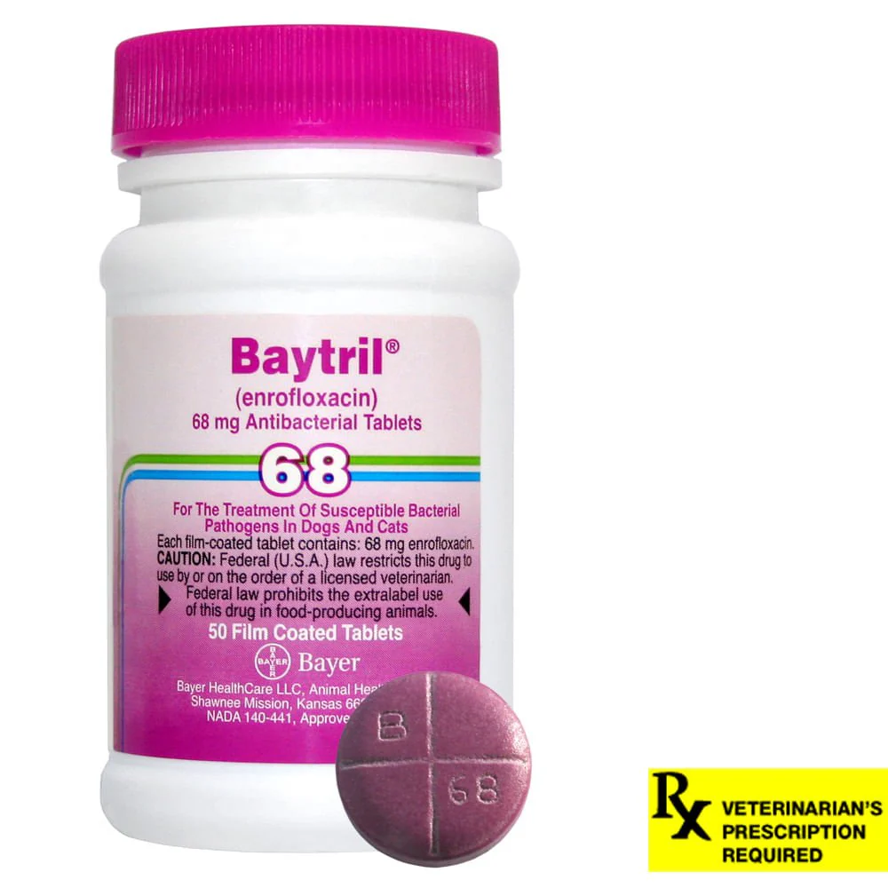 Rx Baytril (enrofloxacin) Coated Tablets for Cats & Dogs - Image 3