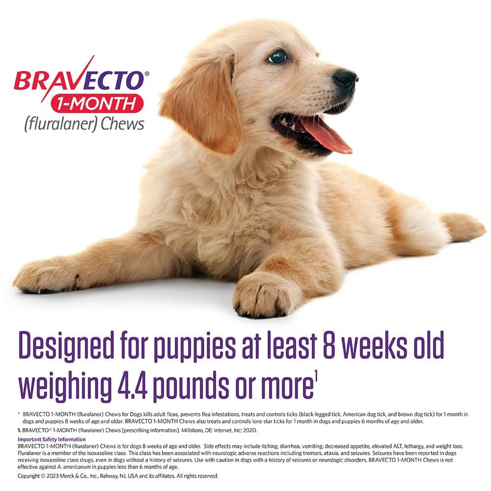 Rx Bravecto (fluralaner) Chews for Dogs, 1 Month Treatment - Image 5