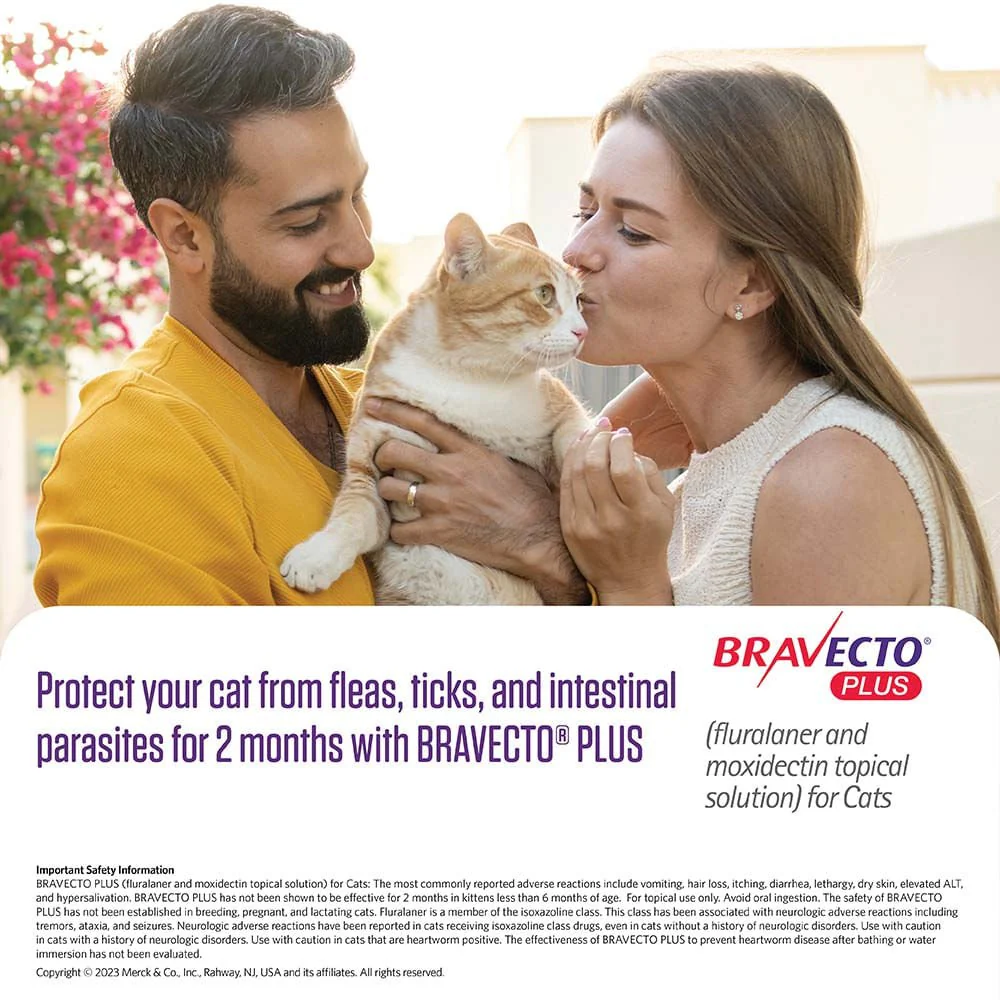 Rx BRAVECTO Plus Topical for Cats - Image 7