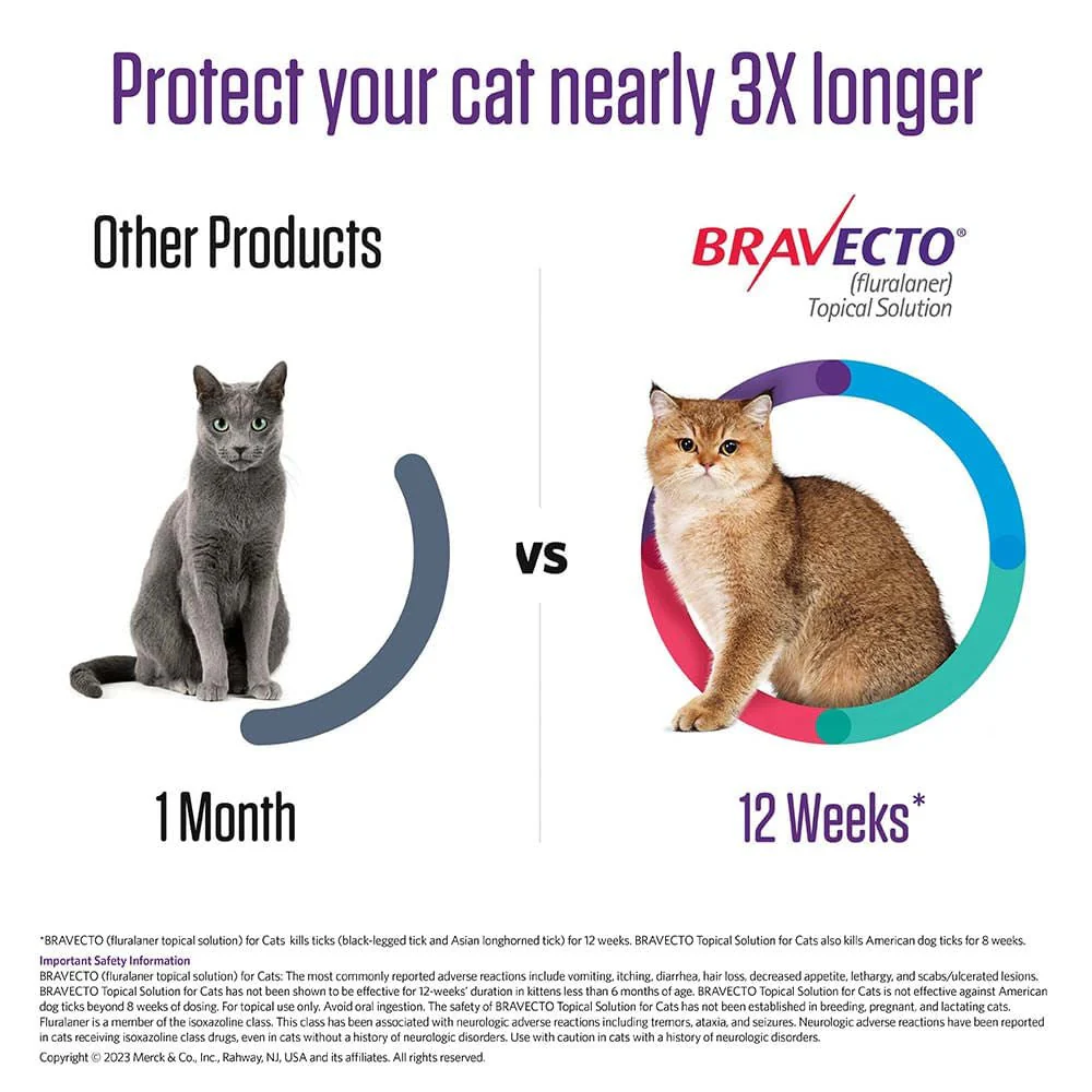 Rx BRAVECTO Feline Topical for Cats - Image 10