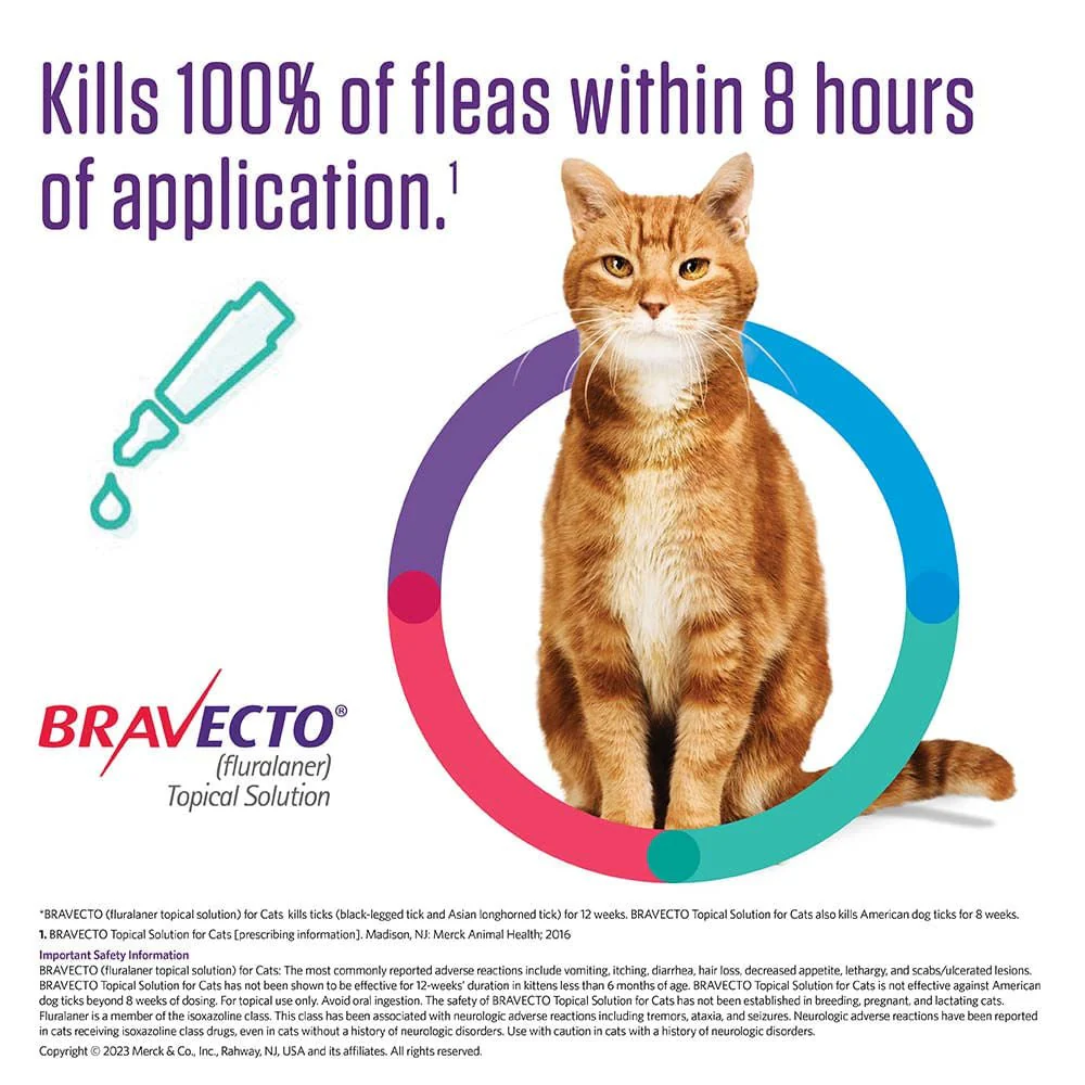 Rx BRAVECTO Feline Topical for Cats - Image 3