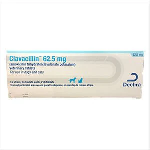 Rx Clavacillin (amoxicillin trihydrate/clavulanate potassium) Tablets for Dogs & Cats - Image 9