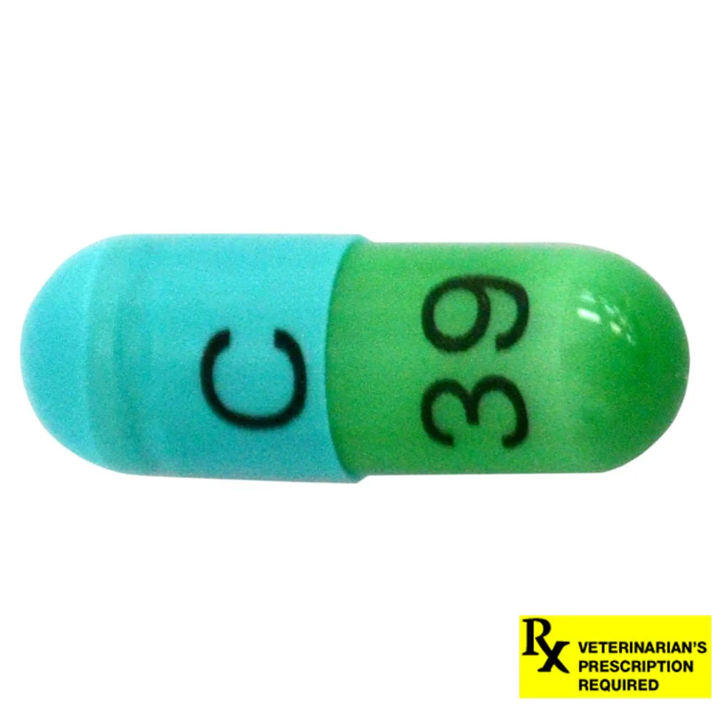 Rx Clindamycin HCl (Generic) Capsules for Dogs - Image 5