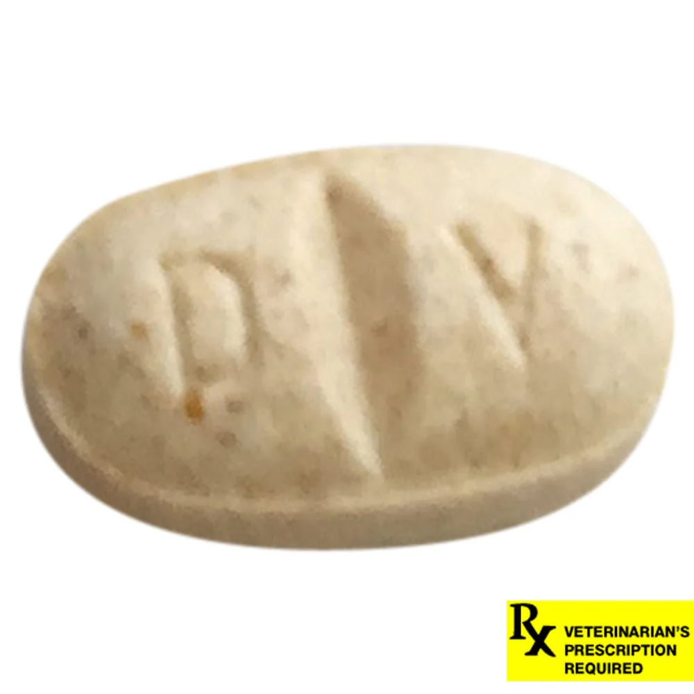 Rx Clomicalm (Clomipramine HCl) Tablets for Dogs - Image 4