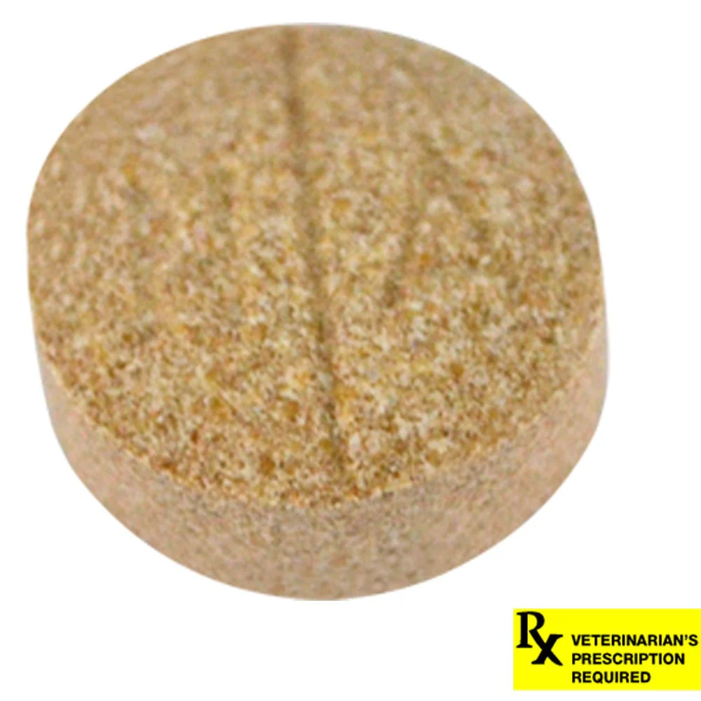 Rx Deramaxx (deracoxib) Chewable Tablets for Dogs - Image 8