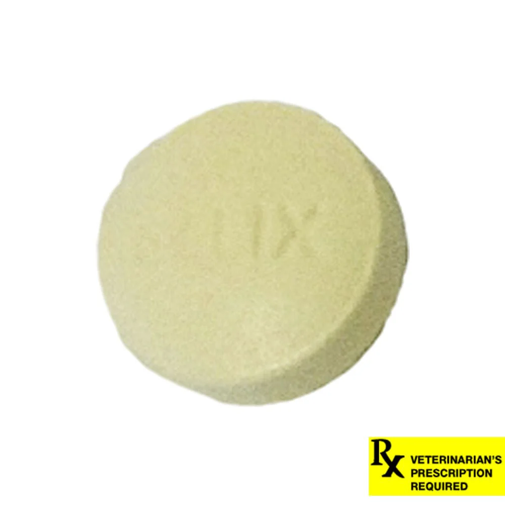 Rx Furosemide (Generic) Tablets for Dogs & Cats - Image 8