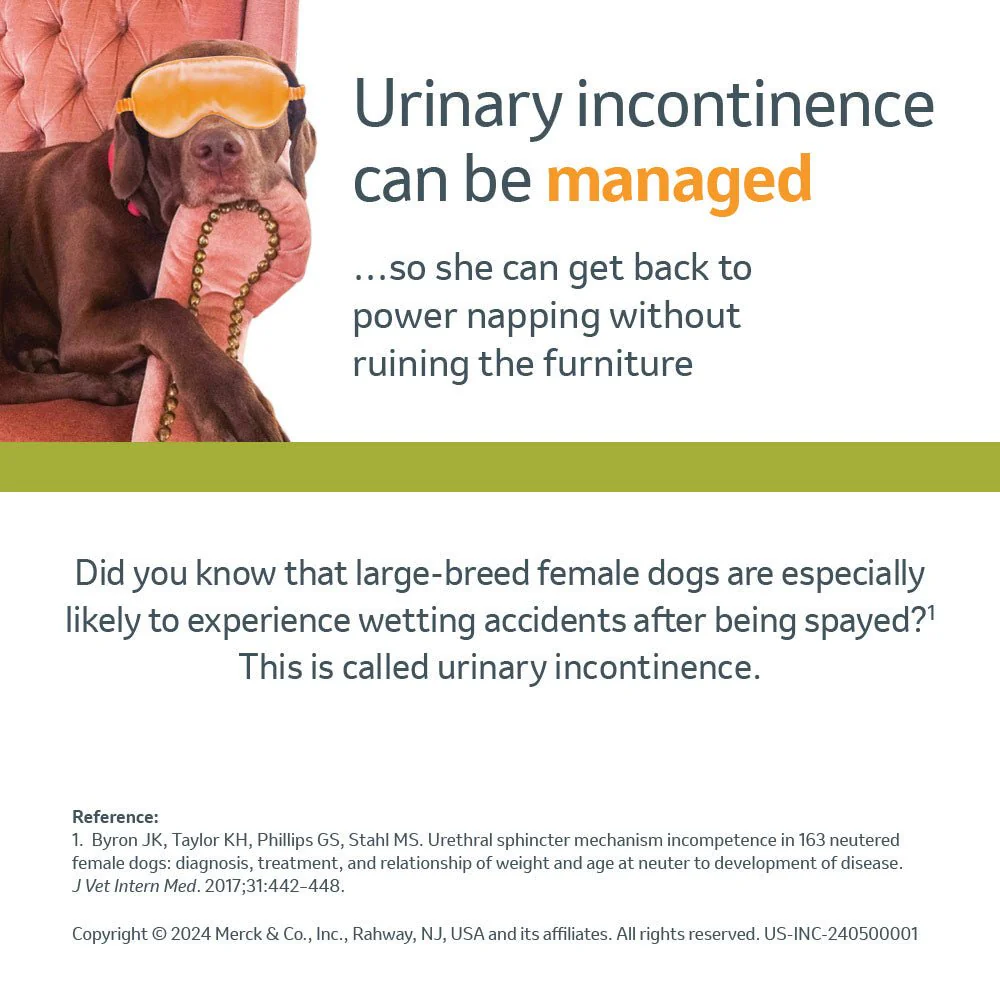 Rx Incurin (estriol) 1 mg Tablets for Dogs - Image 5