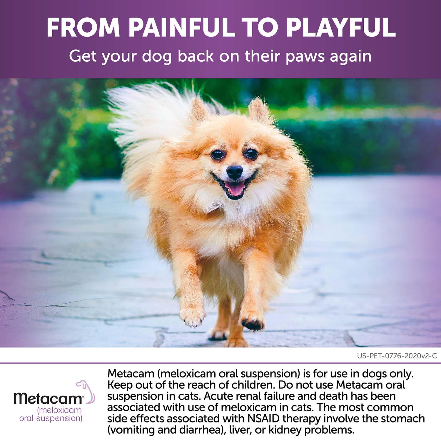 Rx Metacam (meloxicam) Oral Suspension for Dogs - Image 13