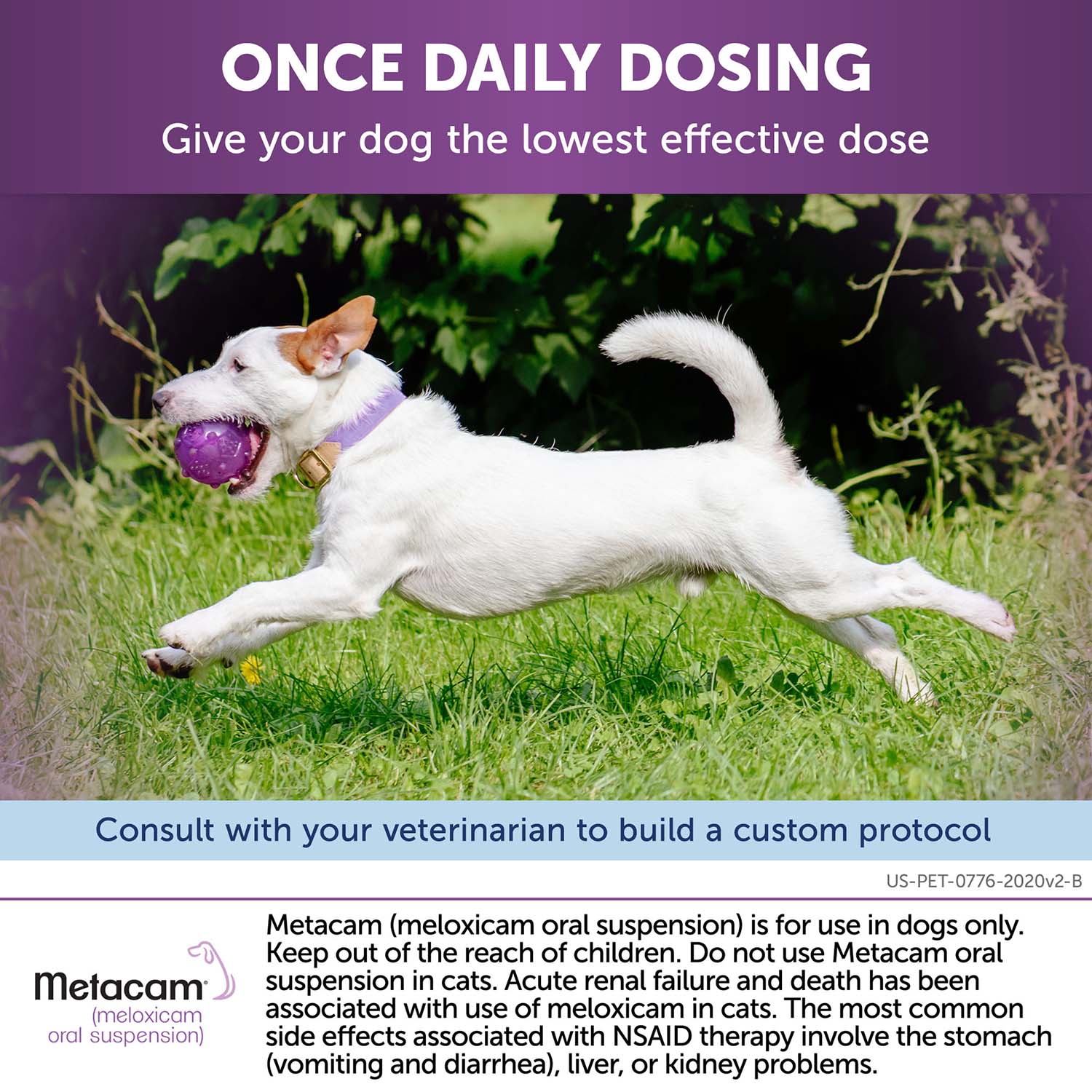 Rx Metacam (meloxicam) Oral Suspension for Dogs - Image 36