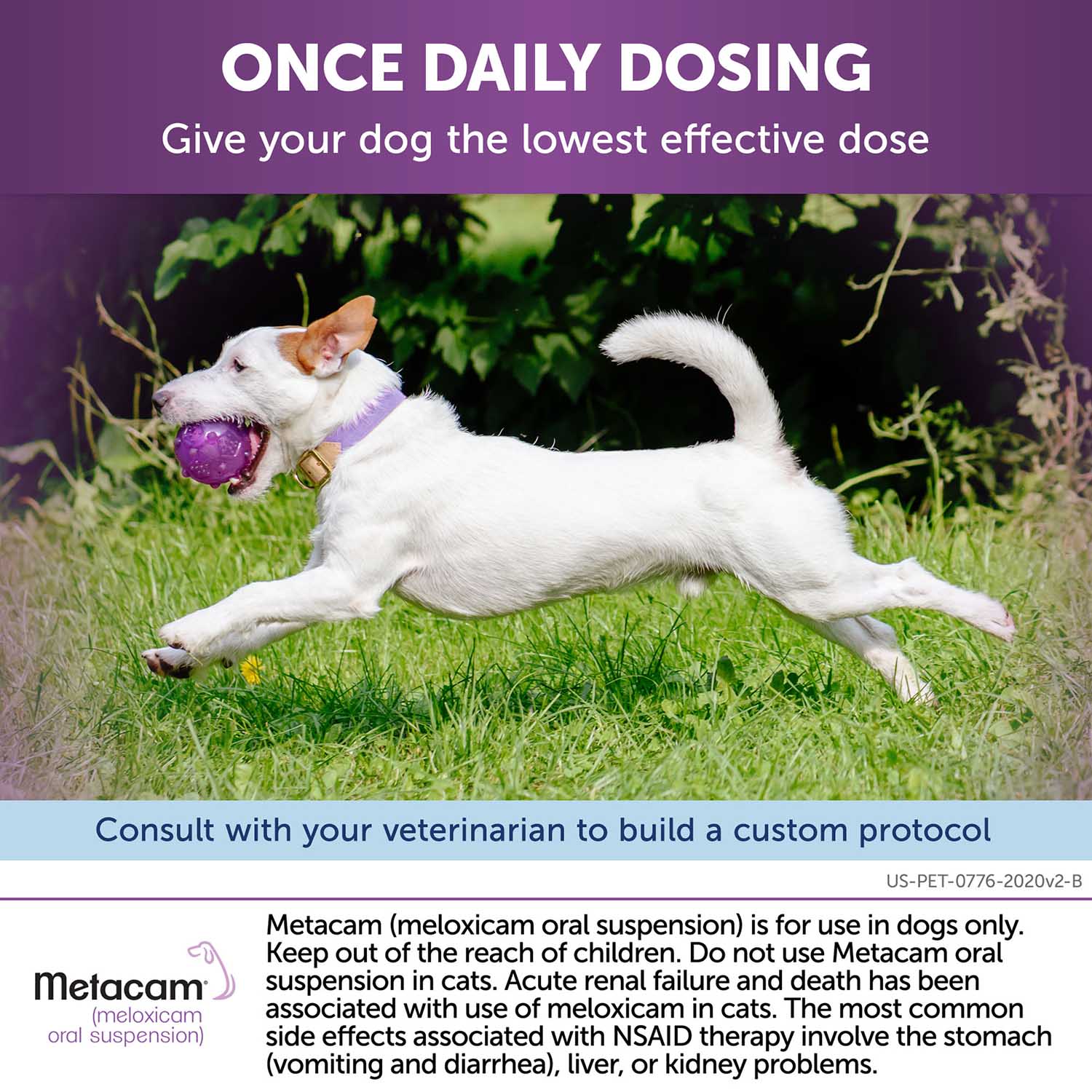 Rx Metacam (meloxicam) Oral Suspension for Dogs - Image 4