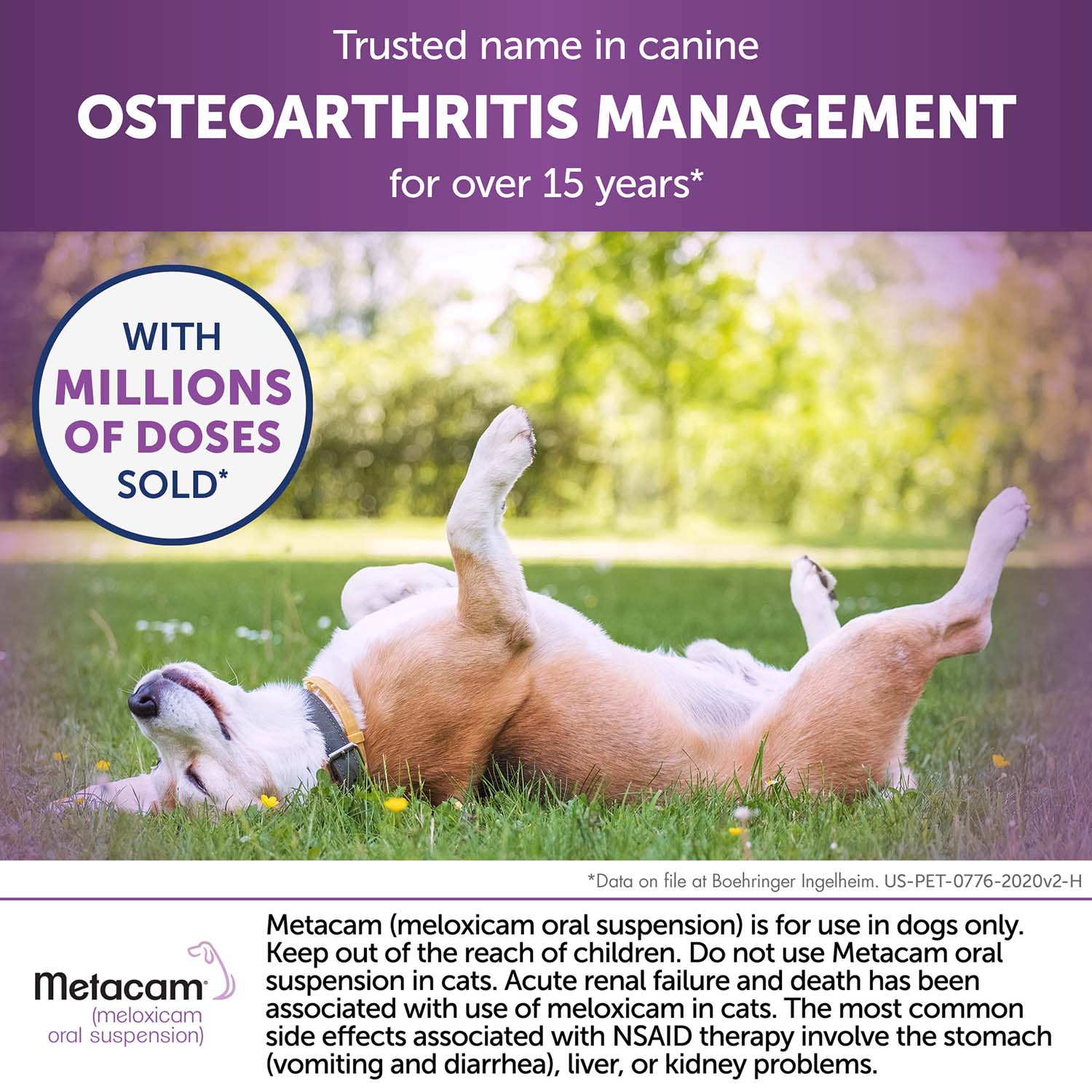 Rx Metacam (meloxicam) Oral Suspension for Dogs - Image 40