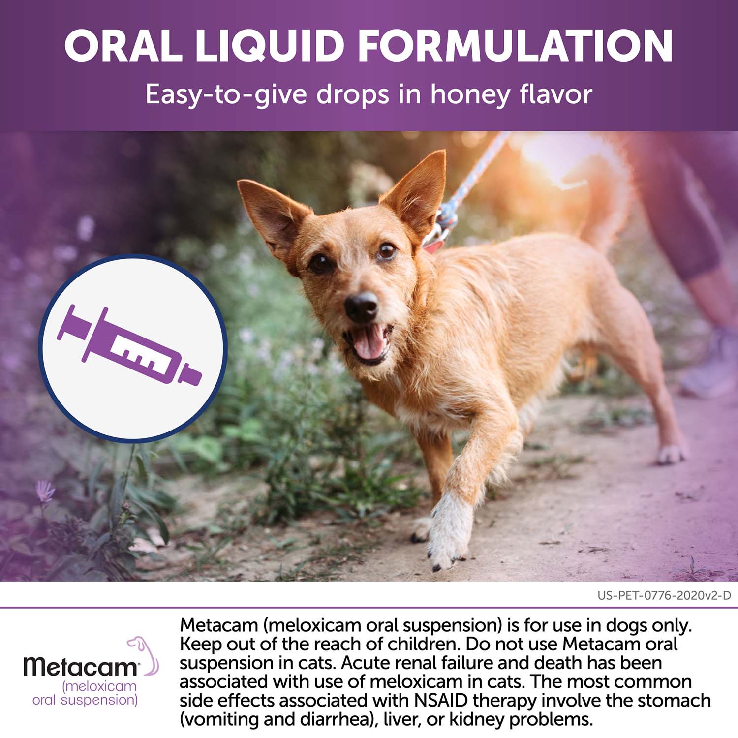 Rx Metacam (meloxicam) Oral Suspension for Dogs - Image 6