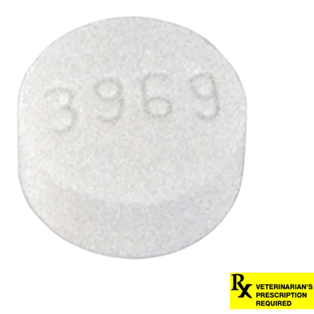 Rx Metronidazole (Generic) Tablets for Dogs & Cats - Image 7