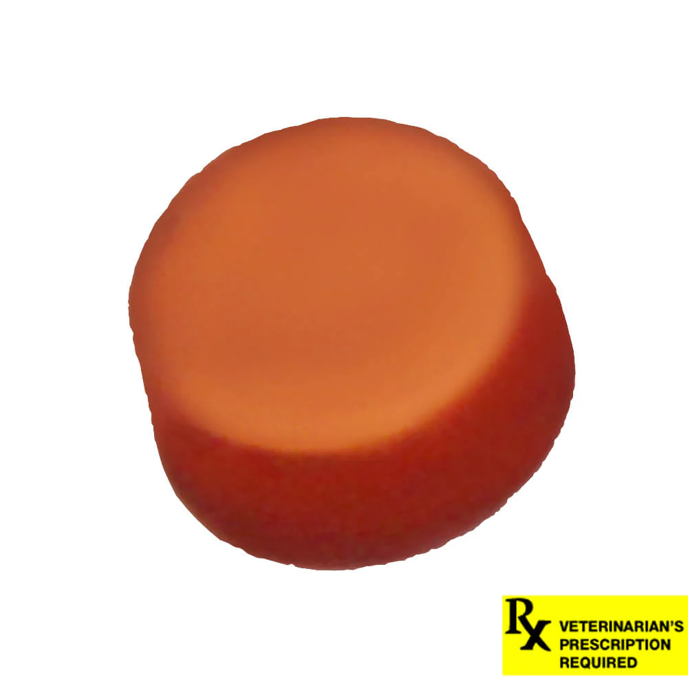 Rx NexGard Flea and Tick Chewables for Dogs - Image 53