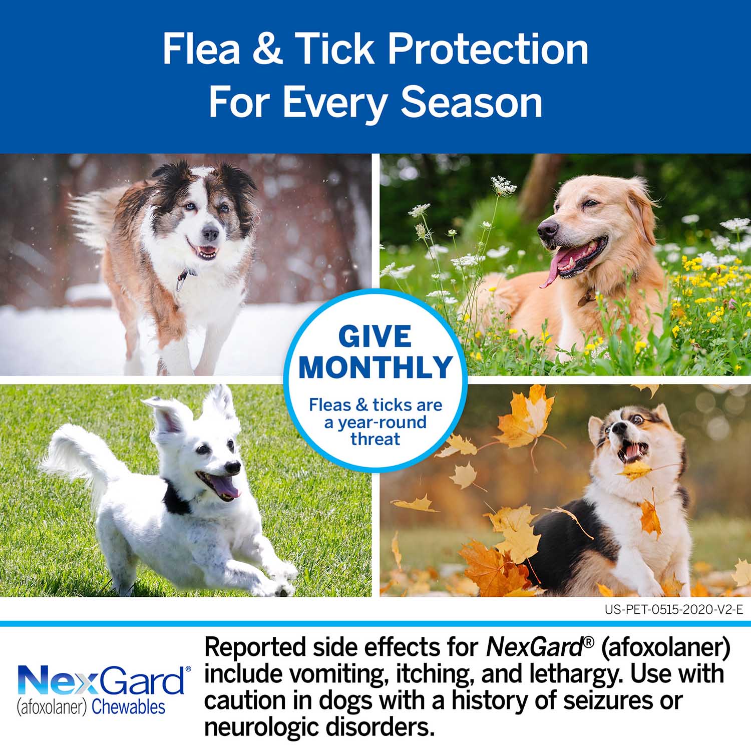 Rx NexGard Flea and Tick Chewables for Dogs - Image 8