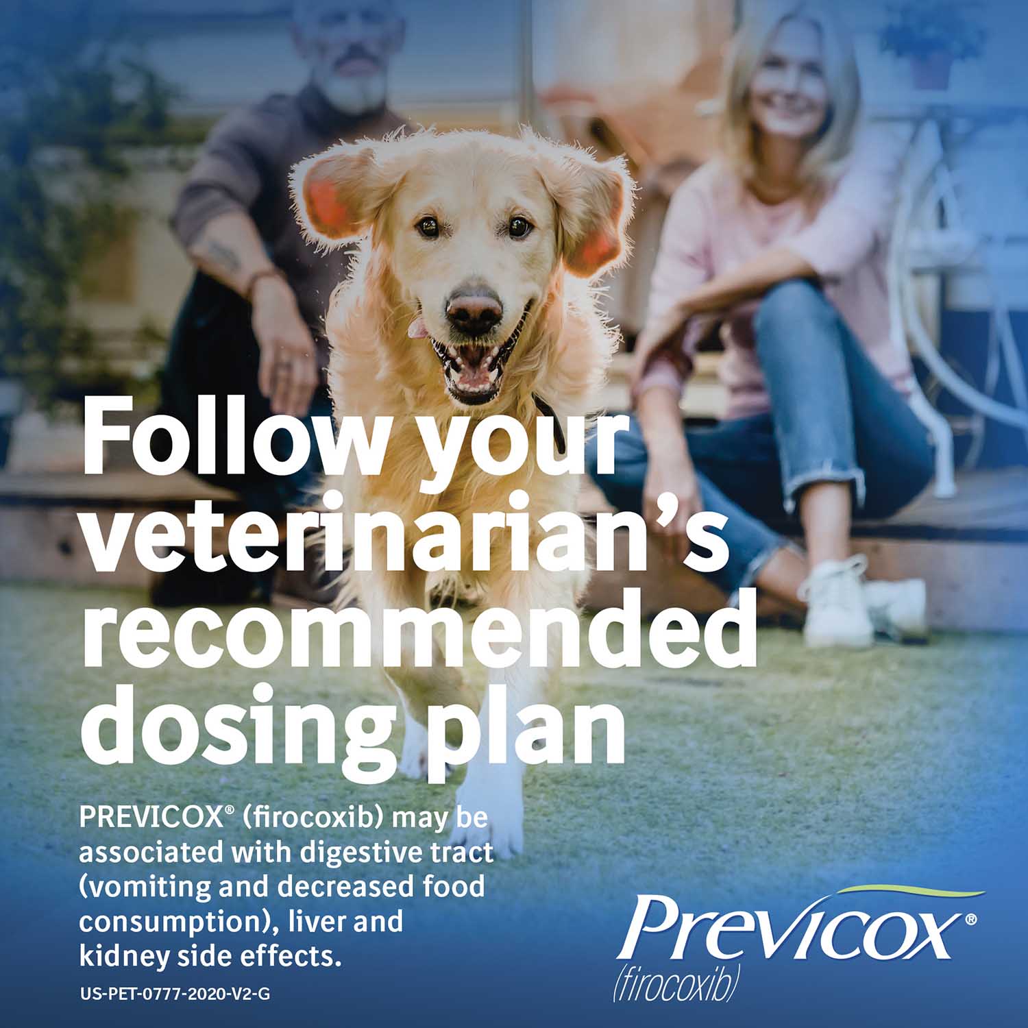 Rx Previcox (firocoxib) Chew Tabs for Dogs - Image 11