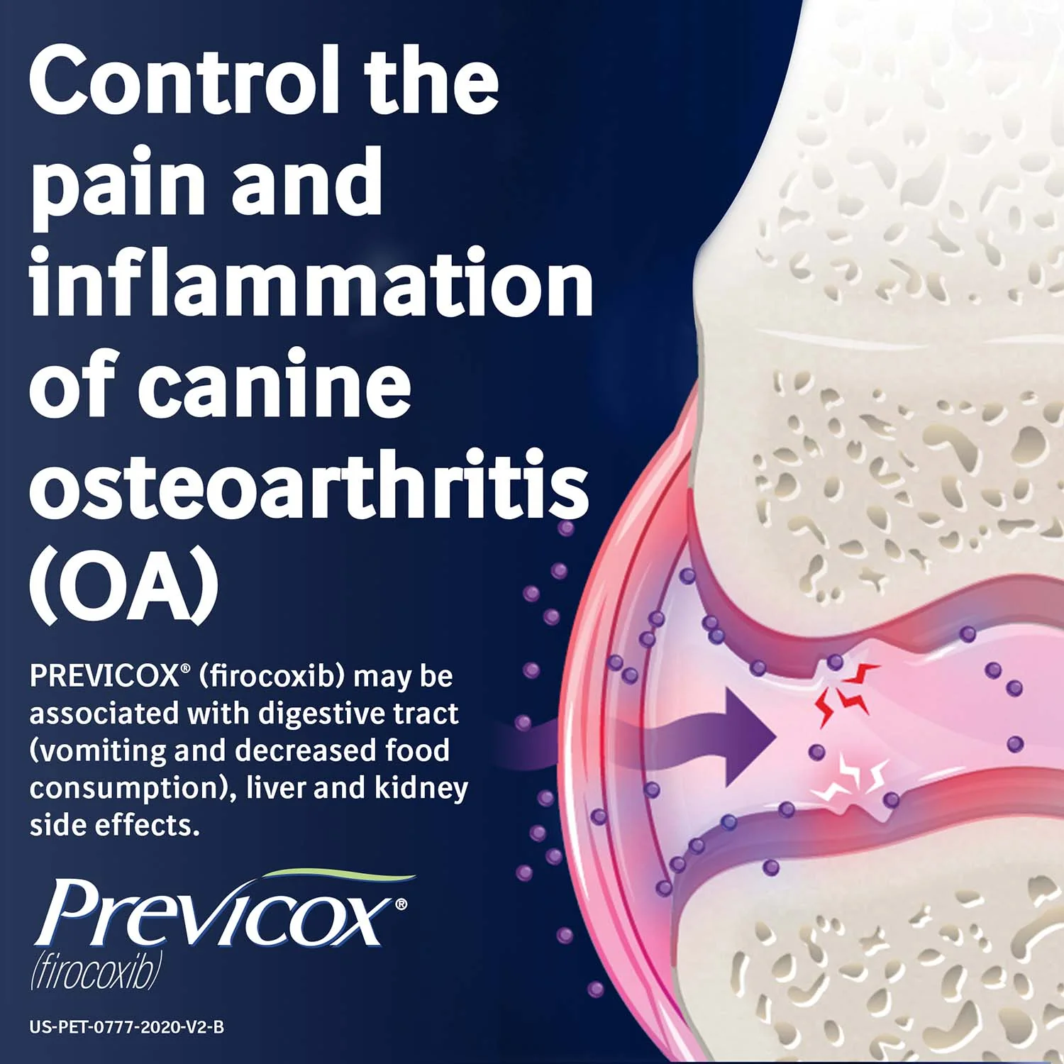Rx Previcox (firocoxib) Chew Tabs for Dogs - Image 27