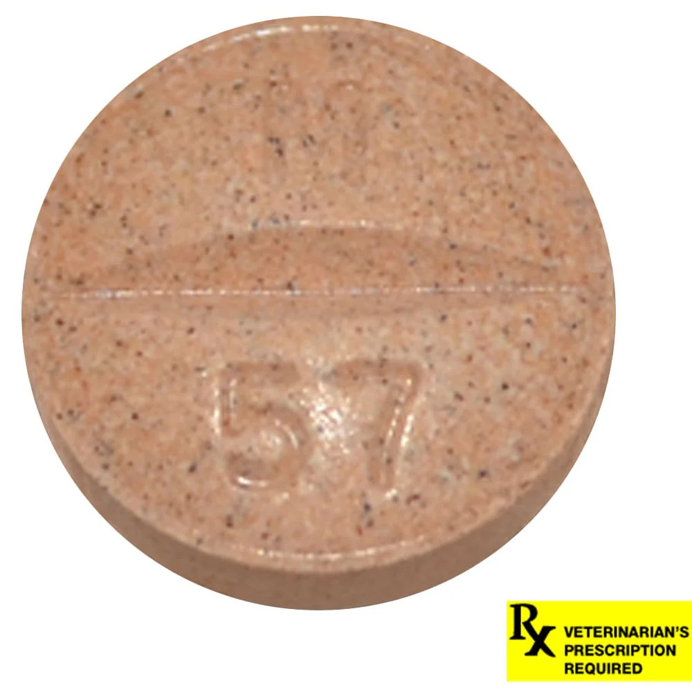 Rx Previcox (firocoxib) Chew Tabs for Dogs - Image 34