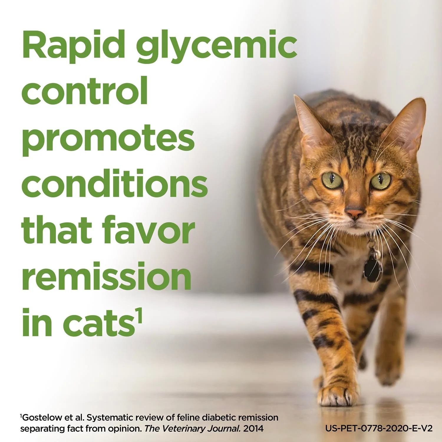 Rx ProZinc (protamine zinc recombinant human insulin) Injection for Dogs & Cats, 40 units/ml, 10ml Vial - Image 6