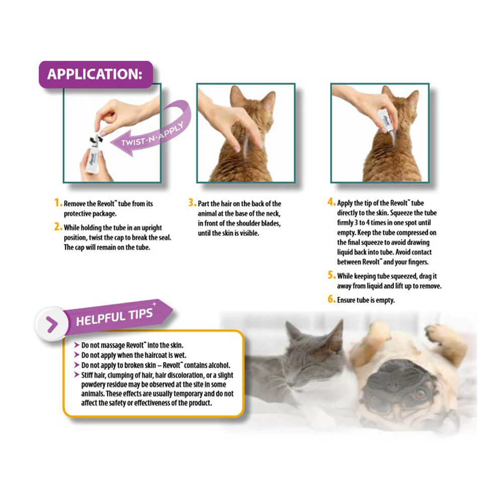 Rx Revolt (Selamectin) for Cats - Image 5