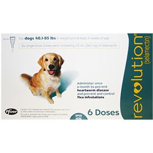 Rx Revolution (selamectin) Canine Once-a-month Flea Topical for Dogs - Image 9