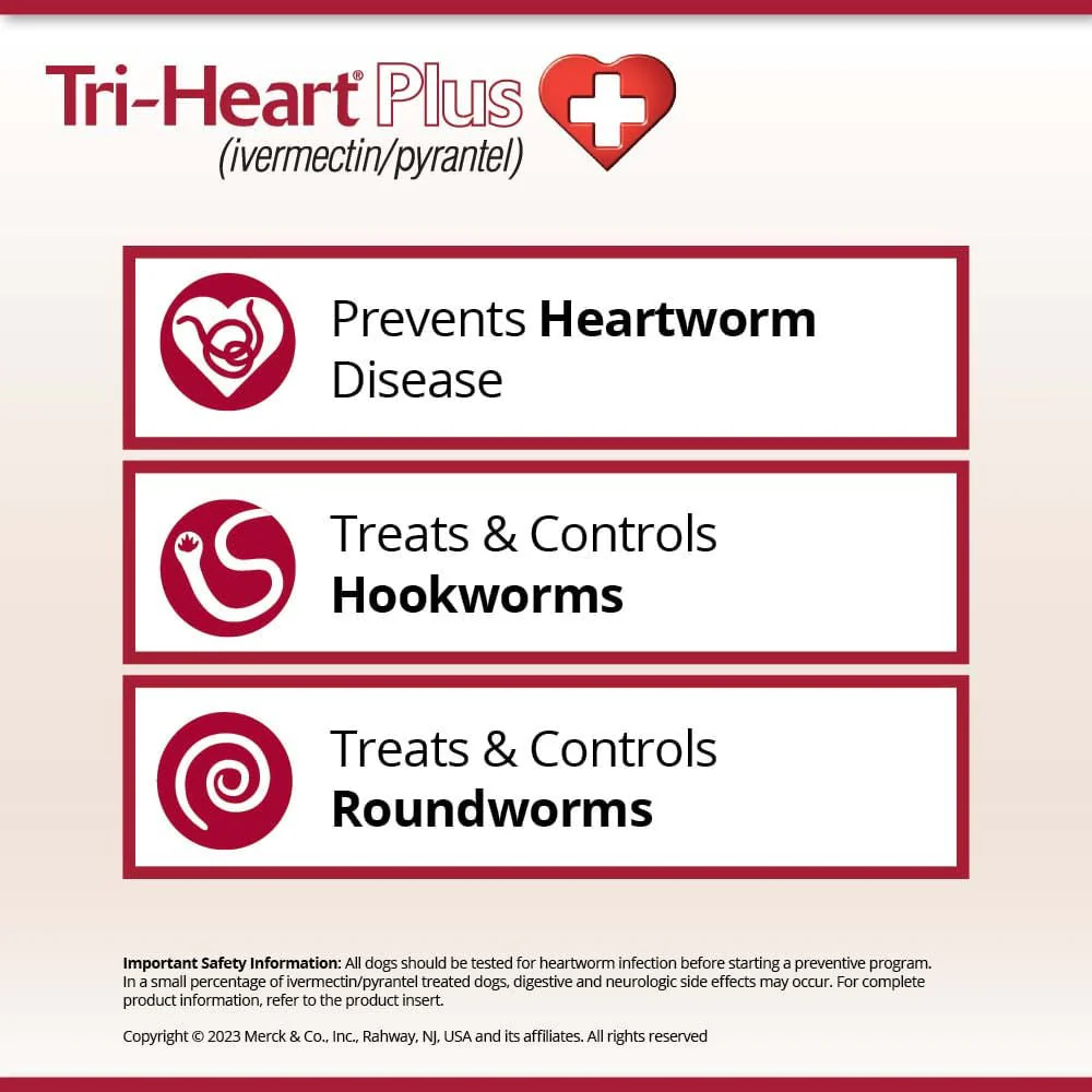 Rx Tri-Heart Plus Chewable Tablets for Dogs, 6 count - Image 4