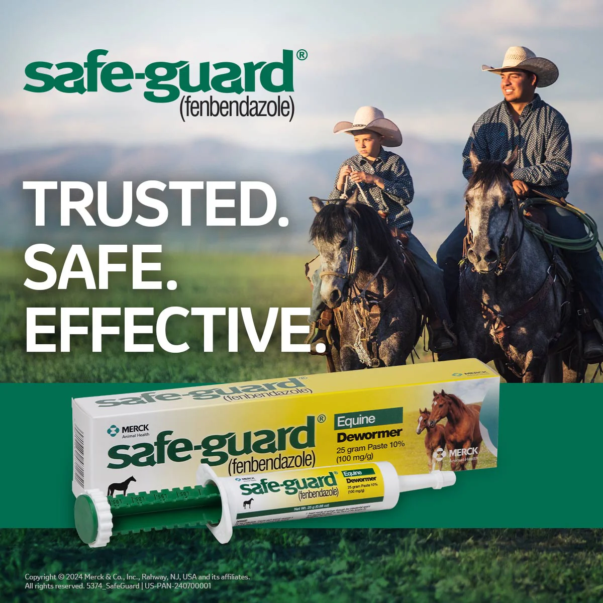 Safe-Guard 10% Fenbendazole Horse Dewormer Paste, 25g – Broad-Spectrum Parasite Wormer - Image 7
