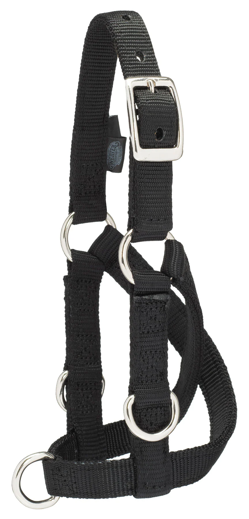 Sheep/Goat Treadmill Halter