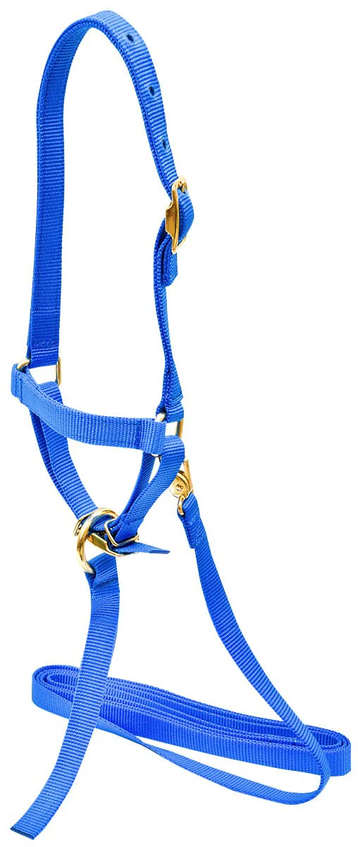 Jeffers Nylon Sheep Halter & Lead Set, 3/4" x 6' Lead - Image 2