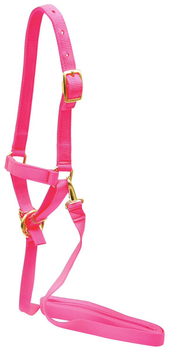 Jeffers Nylon Sheep Halter & Lead Set, 3/4" x 6' Lead - Image 4