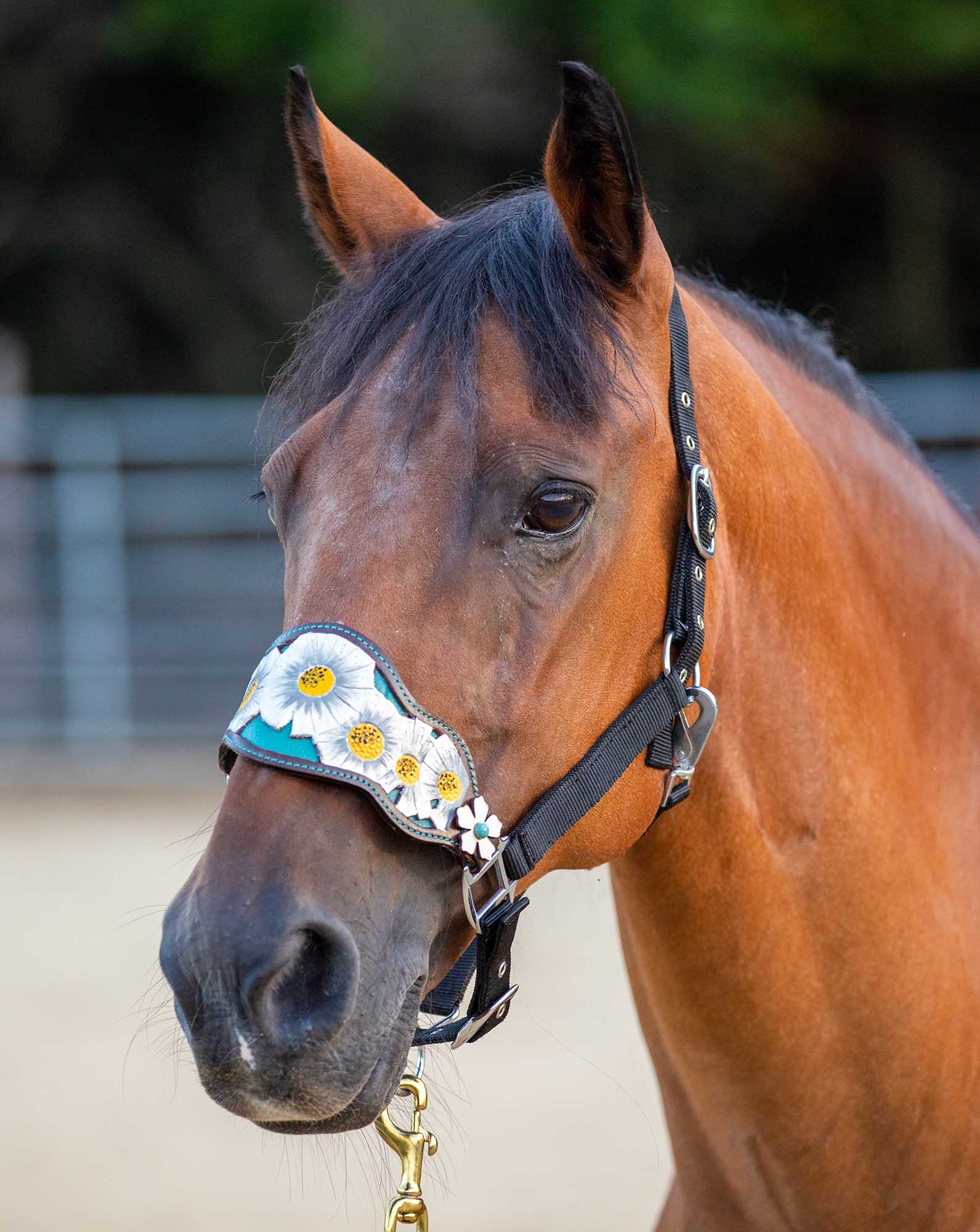 Showman Poppy Flower Bronc Nose Halter - Image 2