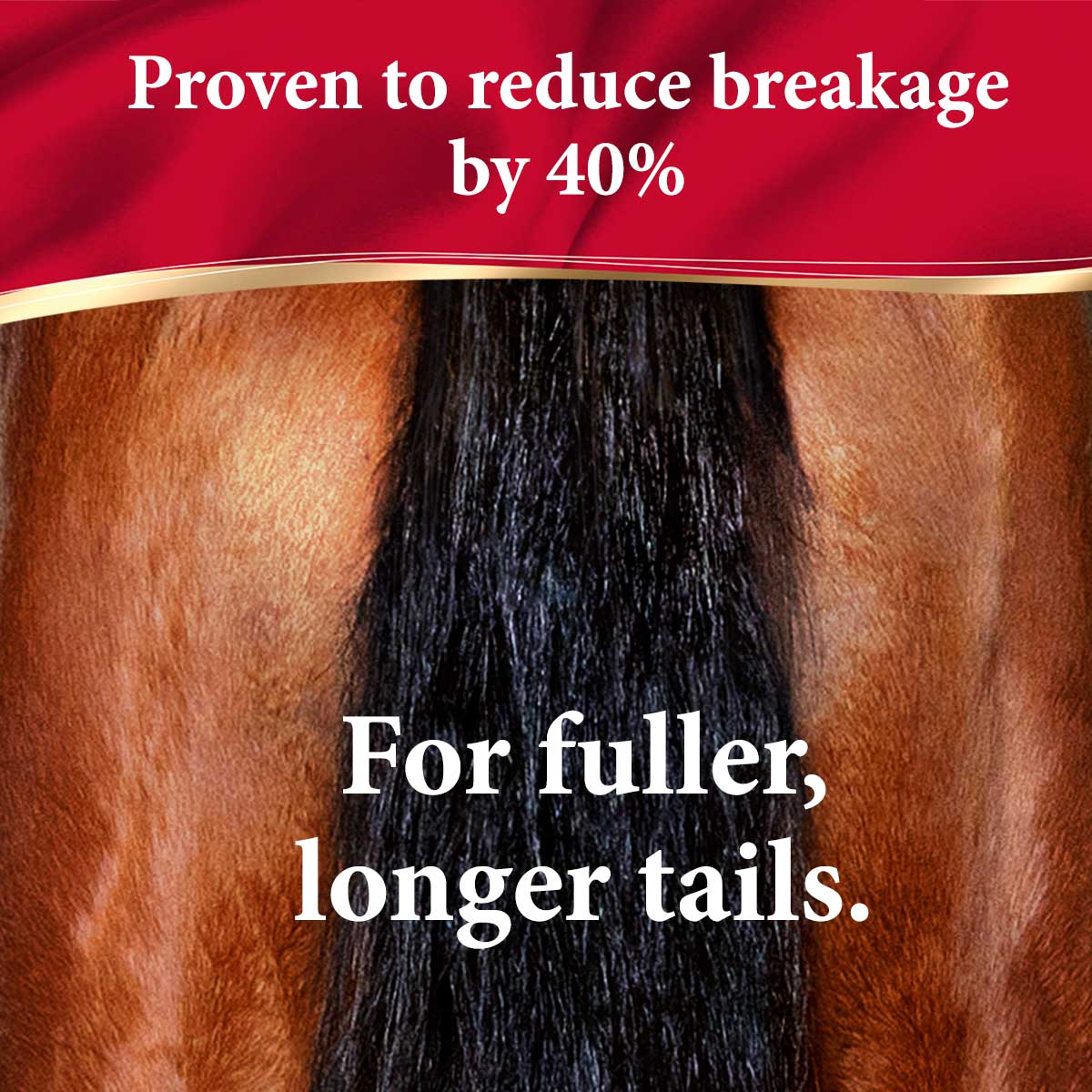 ShowSheen Hair Polish & Detangler for Horses - Image 11