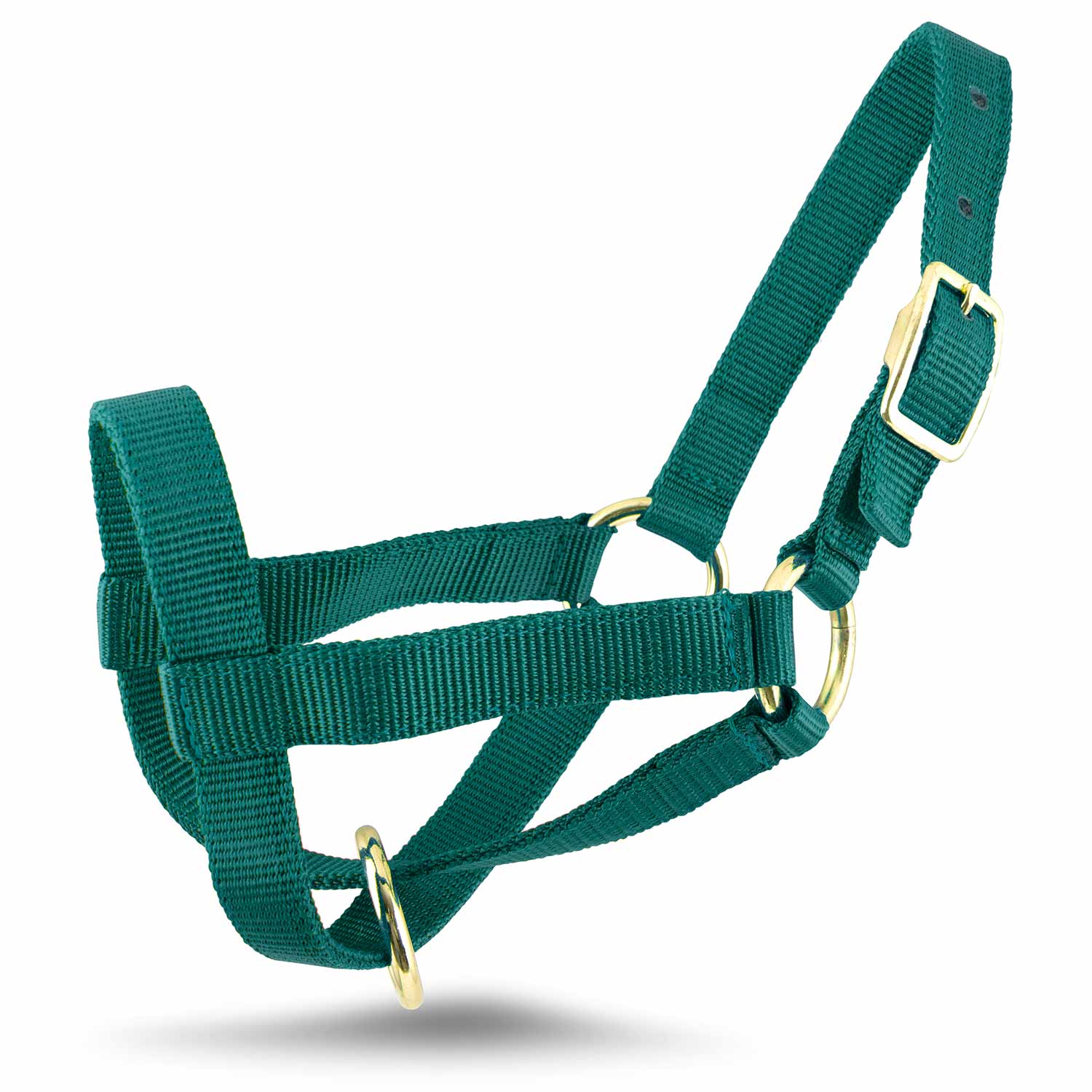 Jeffers Goat Halter - Image 11