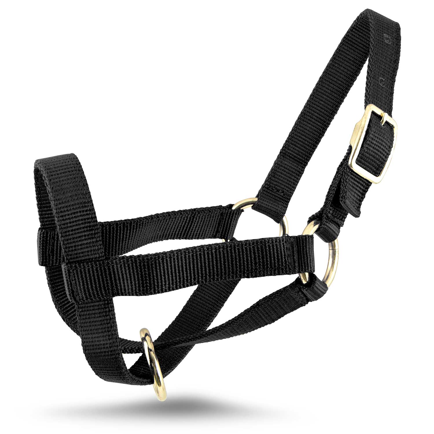 Jeffers Goat Halter - Image 12